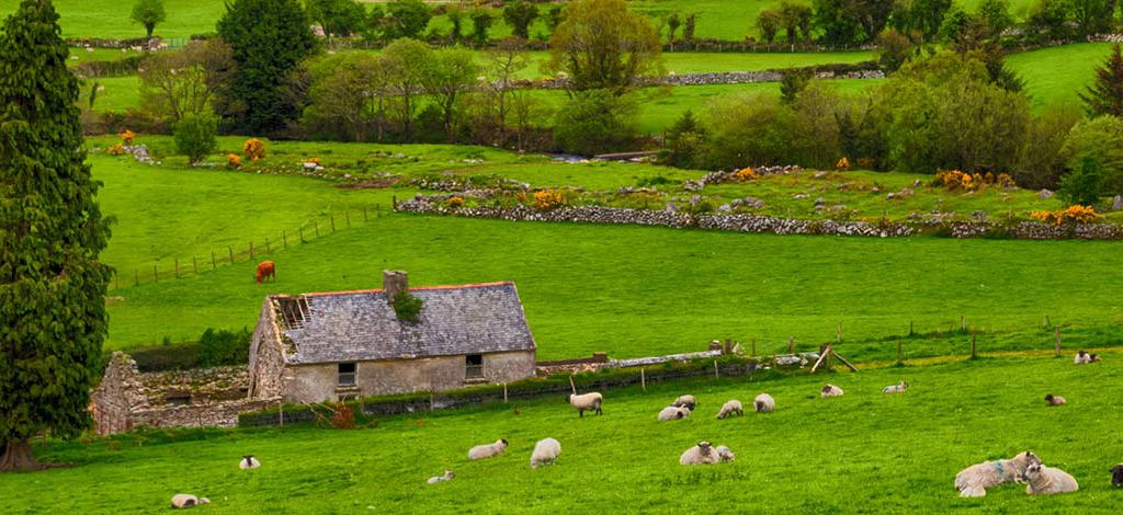 Hotels in Lucan